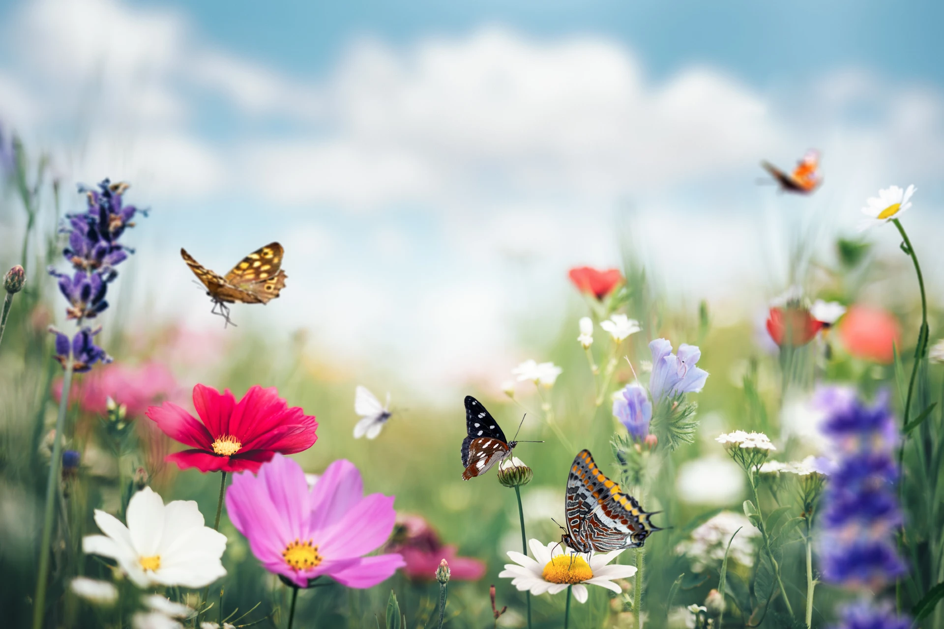 Springing into April 